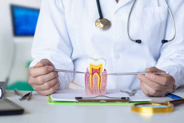 Best Same-Day Dentist Appointment  in Rutgers University Busch Campus, NJ